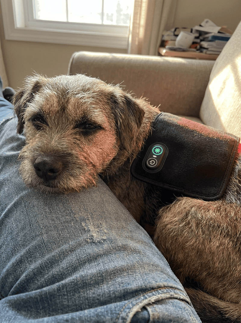 Weeks 2–3