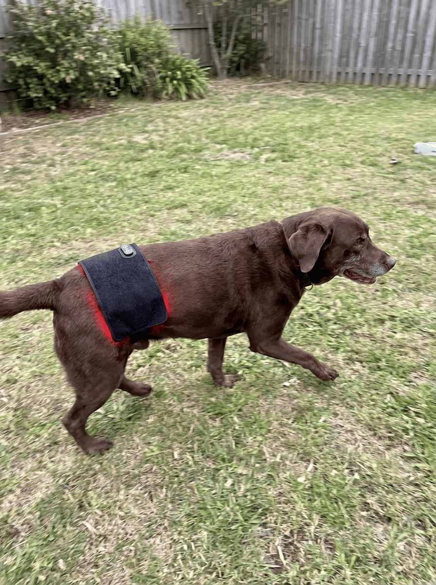 Cooper