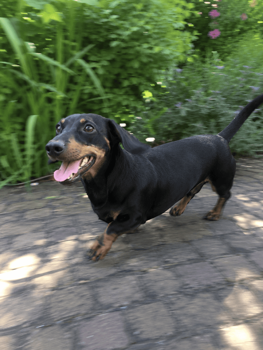 Oscar