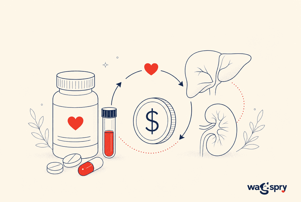 The costs that shape every decision