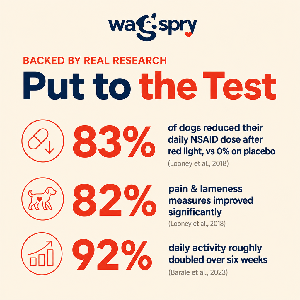 Wagspry Red Light Therapy Belt