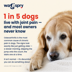 Wagspry Red Light Therapy Belt