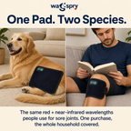Wagspry Red Light Therapy Belt