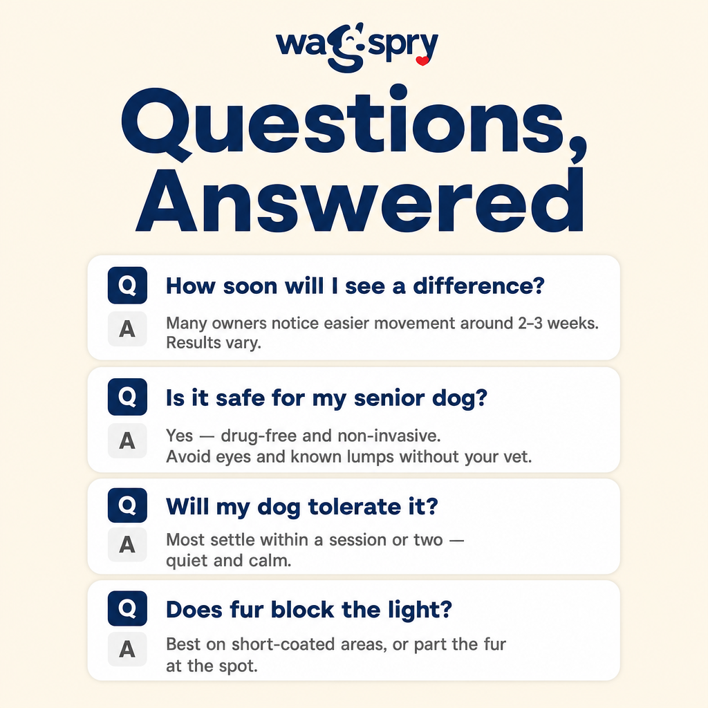 Wagspry Red Light Therapy Belt